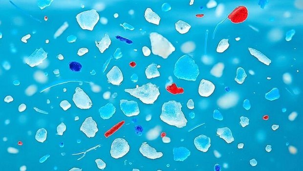 Mikroplastik ist allgegenwärtig, auch im Haushalt.