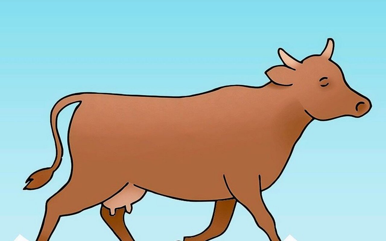 Lange Schritte: Das Hinterbein tritt dort auf, wo das Vorderbein aufhört.