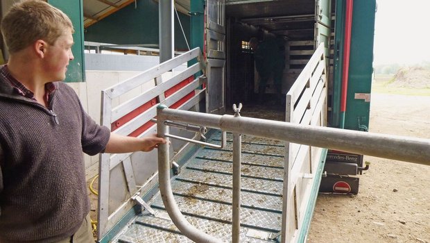 Auf einem Betrieb mit einer hohen Abgangsrate kann die Tiergesundheit überdurchschnittlich sein, wenn er zum Beispiel Tiere durch Verkauf selektioniert. Auf einem Betrieb mit einer hohen Abgangsrate kann die Tiergesundheit überdurchschnittlich sein, wenn er zum Beispiel Tiere durch Verkauf selektioniert.