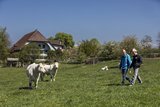 Landwirt Fredy Schmied behandelt seine Tiere in Absprache mit Tierarzt Oskar Luder mit Homöopathie. Bild: Pia Neuenschwander 