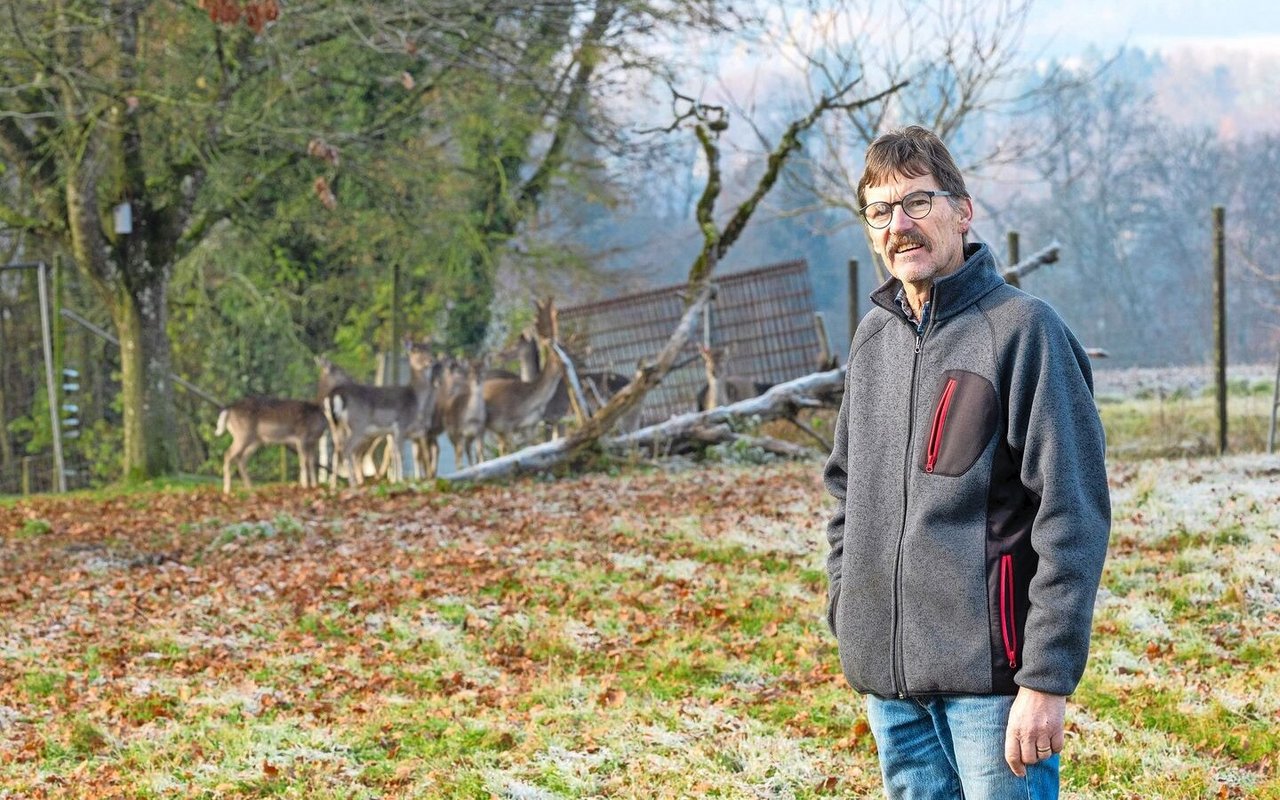 Hans Krähenbühl ist Hirschhalter und kümmert sich um bis zu 20 Tiere. 