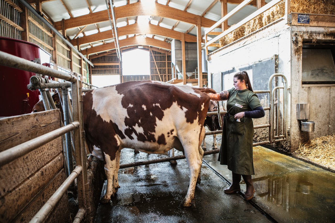 Sonja Geiser, 28, Netzelen, Roggliswil LU: Die Meisterlandwirtin arbeitet zu 80 Prozent als Besamungstechnikerin bei Swiss Genetics. Sie wird den Milchvieh-Betrieb der Eltern übernehmen. Bild: Pia Neuenschwander