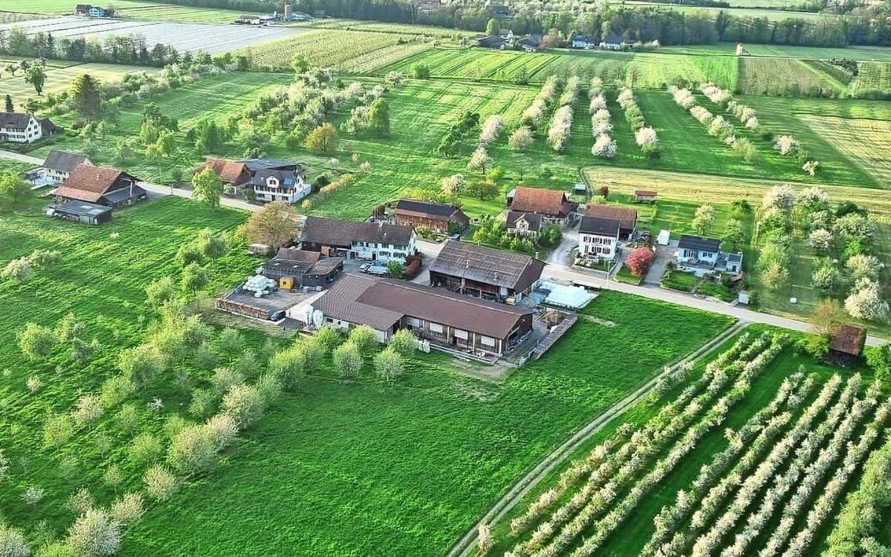 Milchwirtschaft ist der Hauptbetriebszweig von Familie Baumgartner im thurgauischen Egnach.