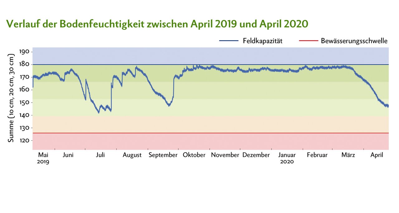 Die Grafik zeigt den Verlauf der Bodenfeuchtigkeit auf einer Weide beim Wallierhof SO.Sie zeigt: Die Trockenheit im April 2020 war vergleichbar mit jener im Juli 2019. Quelle: HAFL