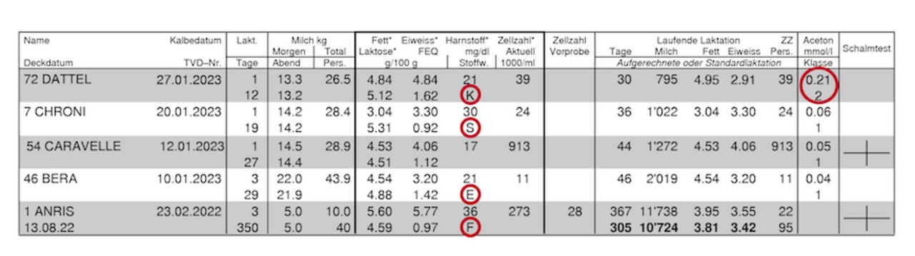 Die Tabelle zeigt Beispielskühe und ihre Milchgehalte.