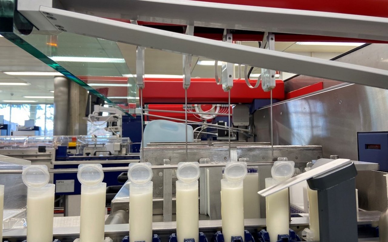 Mehrere Ampullen mit Milchproben stehen auf dem Förderband im Labor von Suisselab.