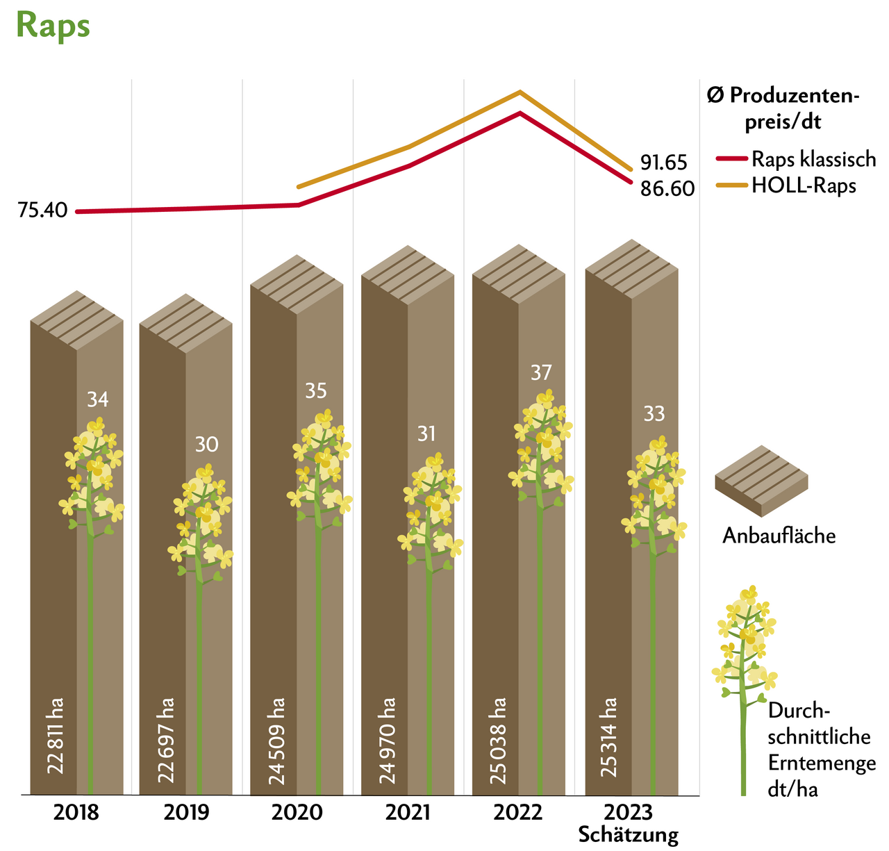 Trotz hoher Nachfrage sanken 2023 die Preise für Raps. Grund dafür sind die sinkenden Preise auf dem Weltmarkt. Quelle: Swissgranum