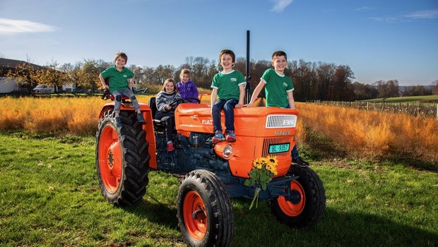 Der Fiat 550 ist der TraumTraktor von Lukas Wiesner und seinen Kindern Nicolas (5), Sylvie (11), Jana (5), Loris (7) und Andrin (9). Bild: Pia Neuenschwander