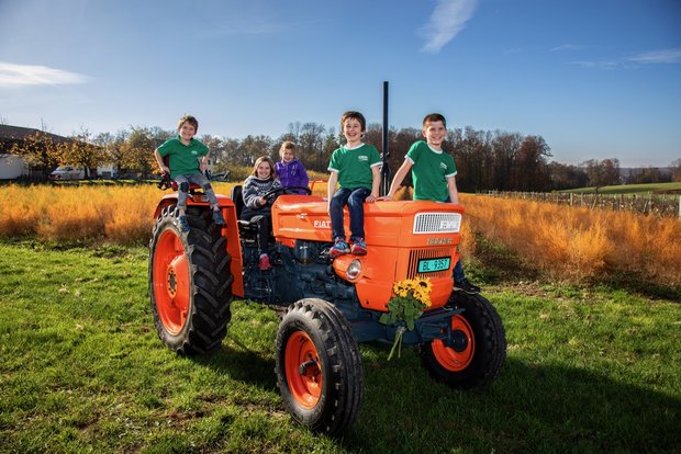 Der Fiat 550 ist der TraumTraktor von Lukas Wiesner und seinen Kindern Nicolas (5), Sylvie (11), Jana (5), Loris (7) und Andrin (9). Bild: Pia Neuenschwander