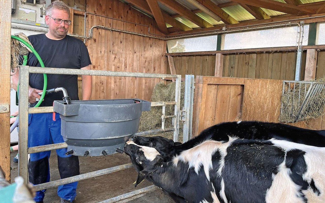 Pirmin Wandeler steht neben der Kälberbucht und befüllt das Tränkebecken für die grösseren Kälber mit Milch.