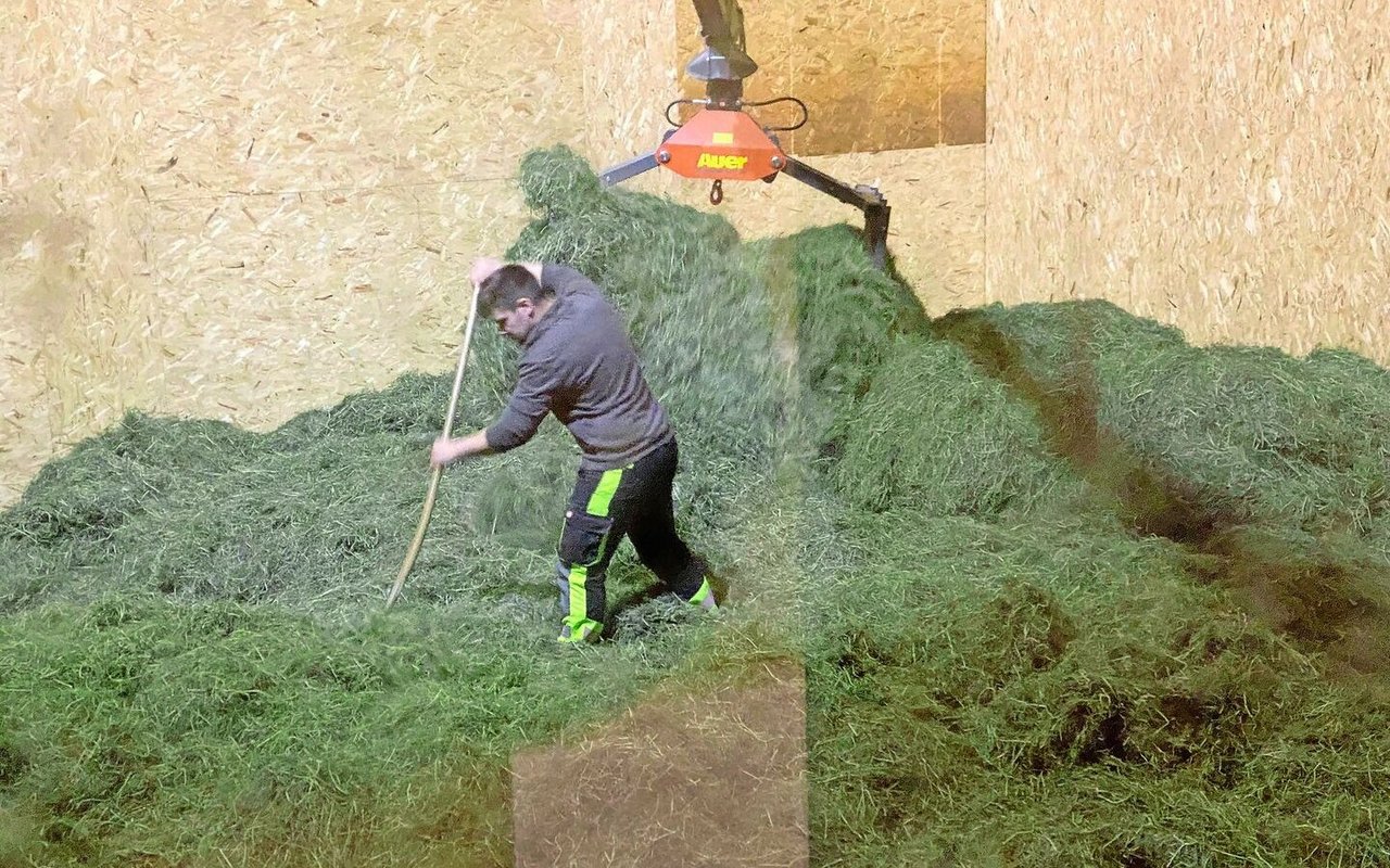 Meistens ist das Heu auf dem Heustock nicht gleichmässig verteilt. Feuchtes liegt neben oder auf schon getrocknetem Dürrfutter. Umschichten –  sei es mit dem Greifer oder der Heugabel – beschleunigt die Heutrocknung. 