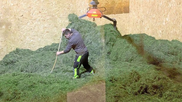 Meistens ist das Heu Meistens ist das Heu auf dem Heustock nicht gleichmässig verteilt. Feuchtes liegt neben oder auf schon getrocknetem Dürrfutter. Umschichten – sei es mit dem Greifer oder der Heugabel – beschleunigt die Heutrocknung.