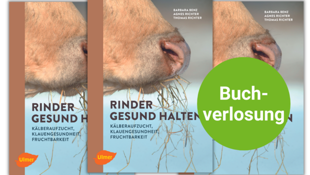 Vor dem Buch-Cover prangt ein grüner Punkt, auf dem "Buchverlosung" steht.