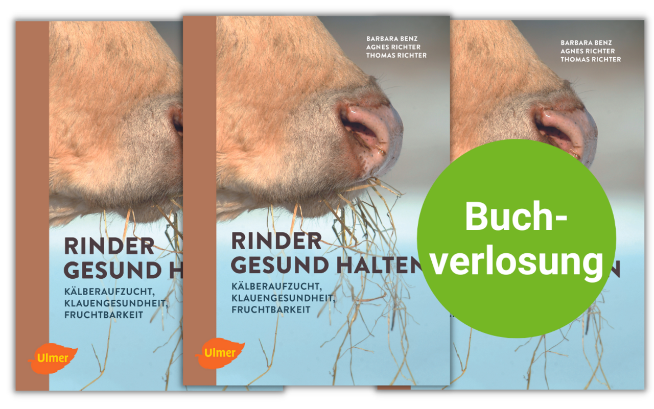 Vor dem Buch-Cover prangt ein grüner Punkt, auf dem "Buchverlosung" steht.