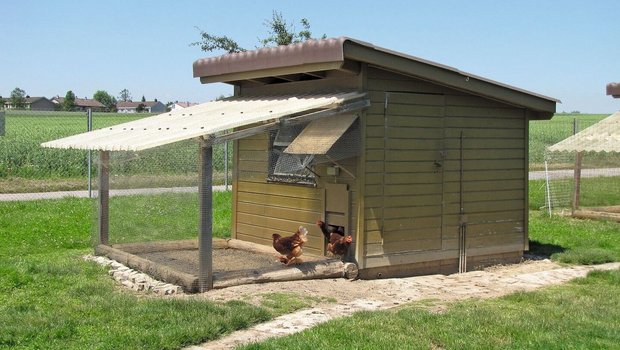 Ein kleiner Hühnerstall, dessen Auslauf vollständig eingenetzt ist.