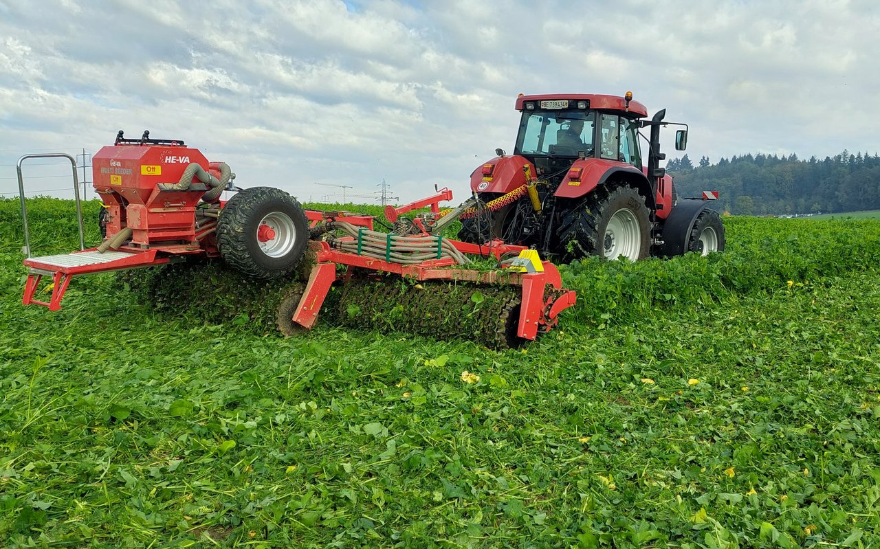 HE-VA Top-Cutter von Ott Landtechnik. Eine Kombination von Sternwalze und Messerwalze. 