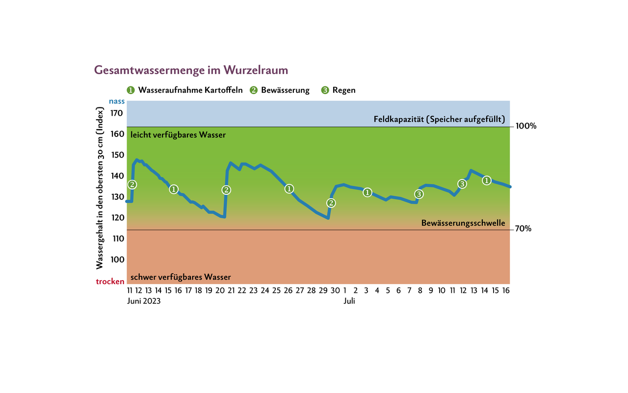 Die Bodensonde im Innovator-Feld von David Perler hilft beim Entscheid, wann bewässert werden muss. Eine Bodensonde sollte immer an einem möglichst repräsentativen Ort einer Parzelle platziert werden. Der Sensor misst bis in 60 cm Tiefe auf allen 10 cm den volumetrischen Wassergehalt des Bodens. Zudem werden die Bodentemperatur bei 15 und 45 cm Bodentiefe sowie der Niederschlag gemessen. Die Daten werden an einen Server übermittelt und auf der Website dargestellt. Der Schwellenwert für den Start der Bewässerung liegt bei 70 Prozent des Wassergehaltes des Bodens bei Feldkapazität.