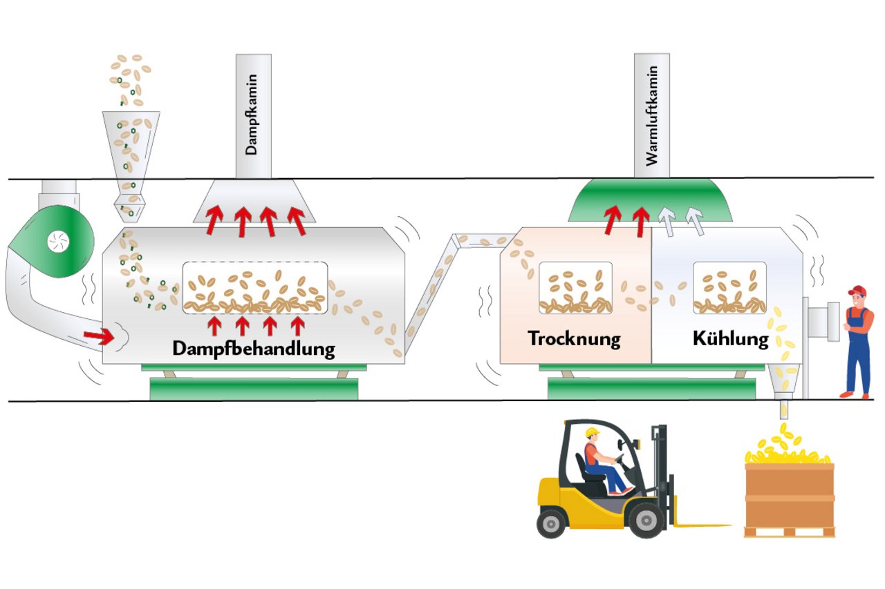 Infografik der thermischen Beizanlage: Im ersten Modul der thermischen Beizanlage werden Staub und Pilzsporen mit Wasserdampf entfernt respektive abgetötet. Im zweiten Modul wird das Saatgut durch warme Luft getrocknet und anschliessend durch kalte Luft abgekühlt.