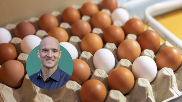 Raphael Zwahlen Gallo Suisse Das Porträt von Raphael Zwahlen steht vor einer Schachtel mit Eiern.