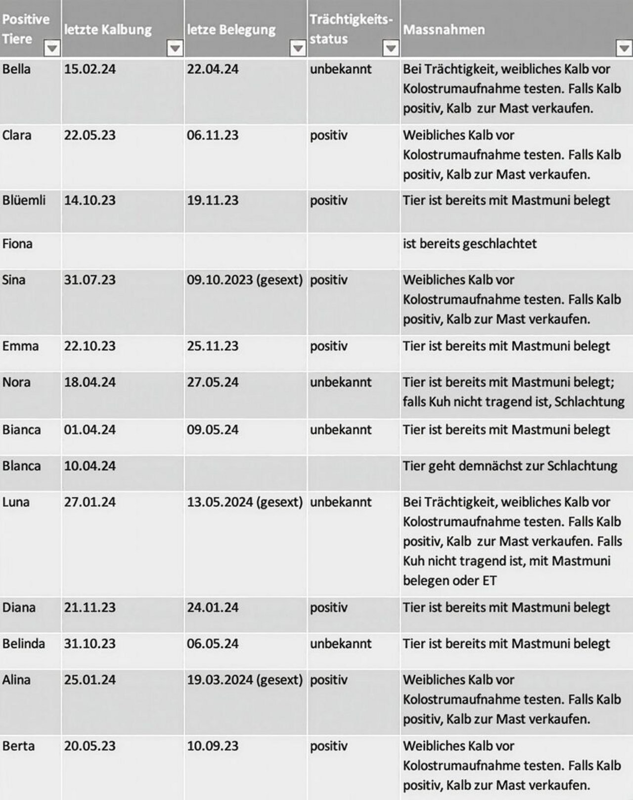 Ein vollständiges Sanierungskonzept beinhaltet jede positive Kuh auf dem Bestand mit dem Trächtigkeitsstatus und den entsprechenden Massnahmen. Quelle: RGS