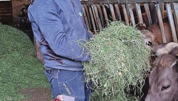 Beat Widmer verwendet Sensordaten, damit fast trockenes Heu bei der Endtrocknung nicht wieder befeuchtet wird. Dabei hat er vor allem die absolute Luftfeuchtigkeit und den Taupunkt im Auge.  