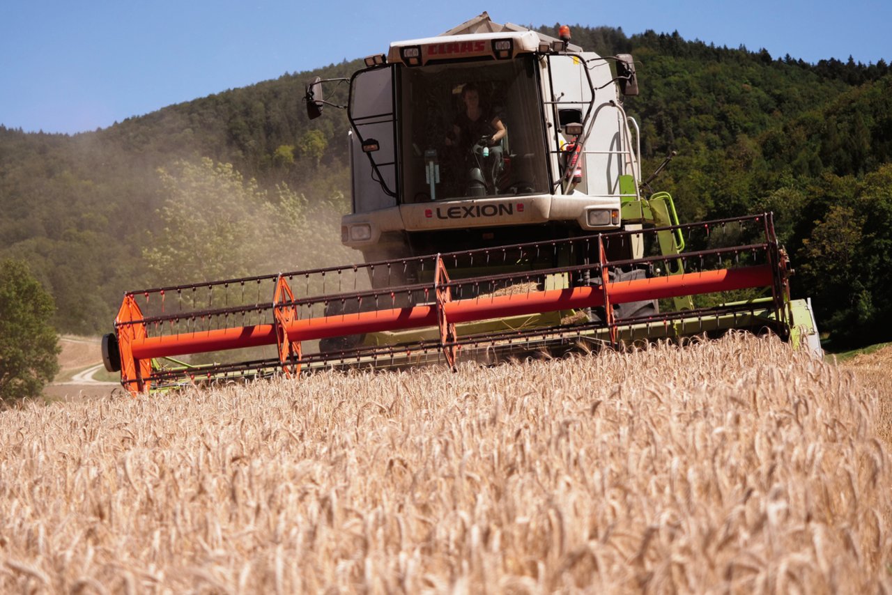 Voll konzentriert, aber dennoch entspannt fährt Corinne Müller den Lexion-430-Mähdrescher im Triticale-Feld in Beggingen SH: «In der Schweiz schätze ich die Vielfalt der Feldfrüchte, das bringt Abwechslung.» Bild: die grüne/Martina Rüegger