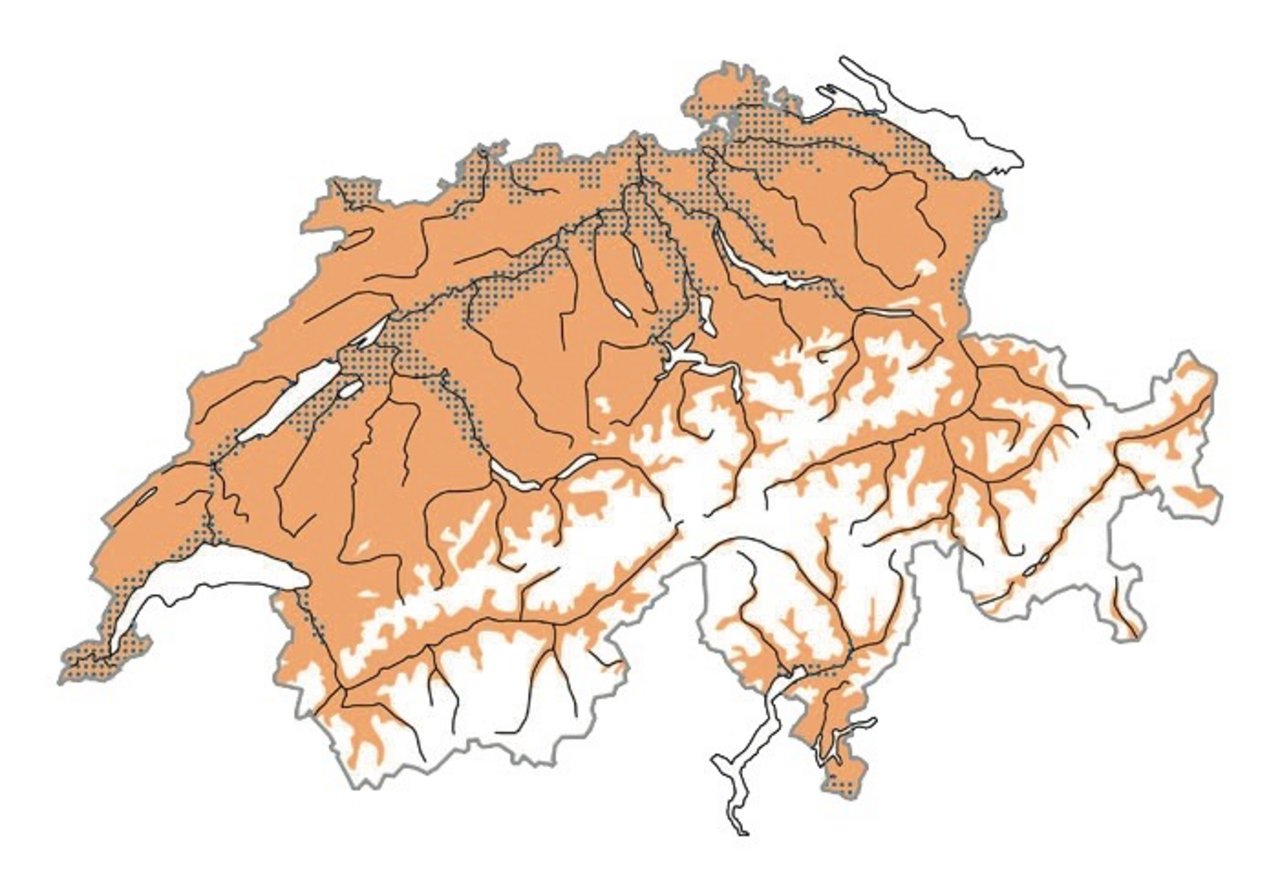 Verbreitung der Ringeltaube in der Schweiz. Zur Brutzeit = Ocker, im Winter = Blau, zur Zugzeit = Rot Karte: Vogelwarte