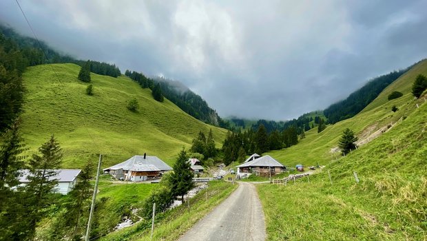 Die Alp Langenegg liegt auf 1200 bis 1500 m ü. M. auf der Nordseite des Stockhorns in einem Tal mit steilen Hängen. (Bild: Jürg Vollmer / «die grüne»)