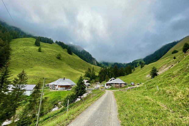 Das Alp-Beizli auf der Alp Langenegg zwischen Thun und Gantrischgebiet Die Alp Langenegg liegt auf 1200 bis 1500 m ü. M. auf der Nordseite des Stockhorns in einem Tal mit steilen Hängen. (Bild: Jürg Vollmer / «die grüne»)