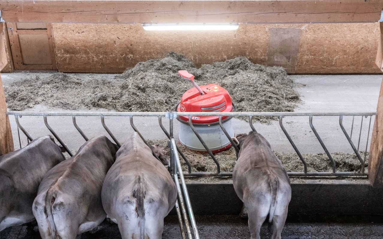 Das Team des Gemeinschaftsstalls Churwalden testet einen Futterzuschieber. Eine Investition, die ein Einzelner von ihnen niemals in Betracht gezogen hätte.