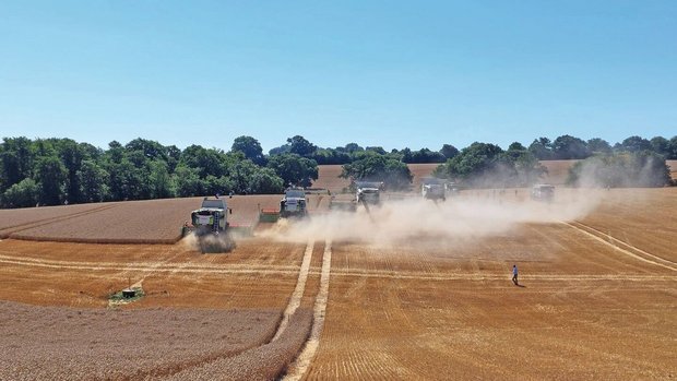 Claas Mähdrescher