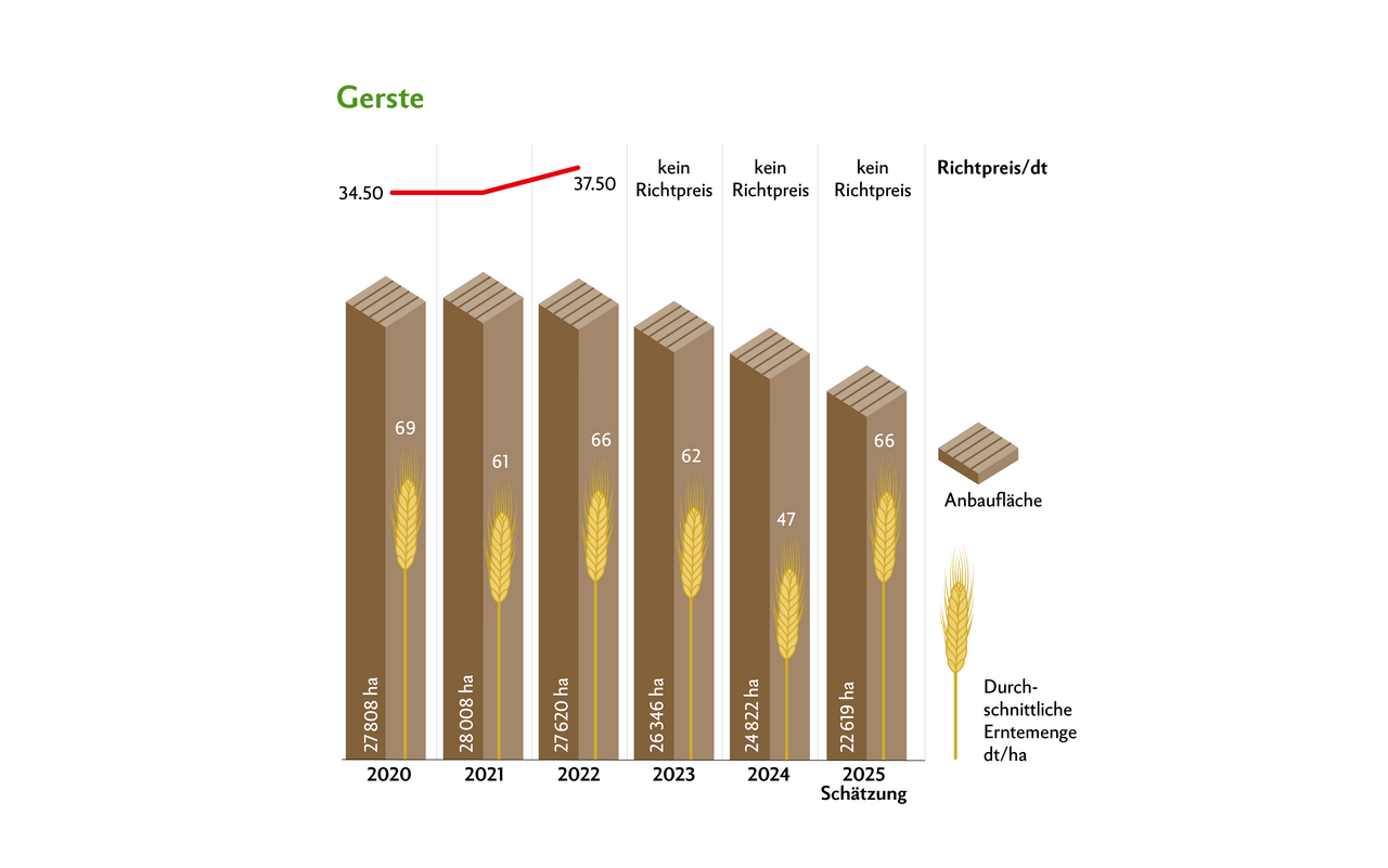 Die Anbaufläche von Gerste ist seit vier Jahren stets rückläufig. Hauptgründe dafür sind die mangelnde Rentabilität und der fehlende Richtpreis.