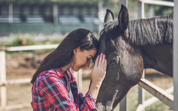 Pferd und Mensch sollen Freude am Miteinander empfinden.