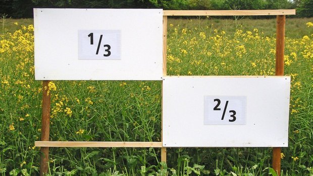Zwei Drittel des Ertrages werden im unteren Teil der Schotendecke gebildet. Der Erntetermin muss sich daher nach den unteren Schoten richten. Rapsfeld mit Ertragsverteilung