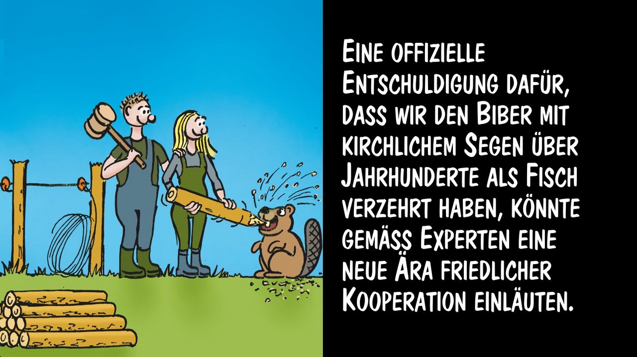 Eine offizielle Entschuldigung könnte zu einem friedlichen Zusammenleben führen. Cartoon: Marco Ratschiller/Karma