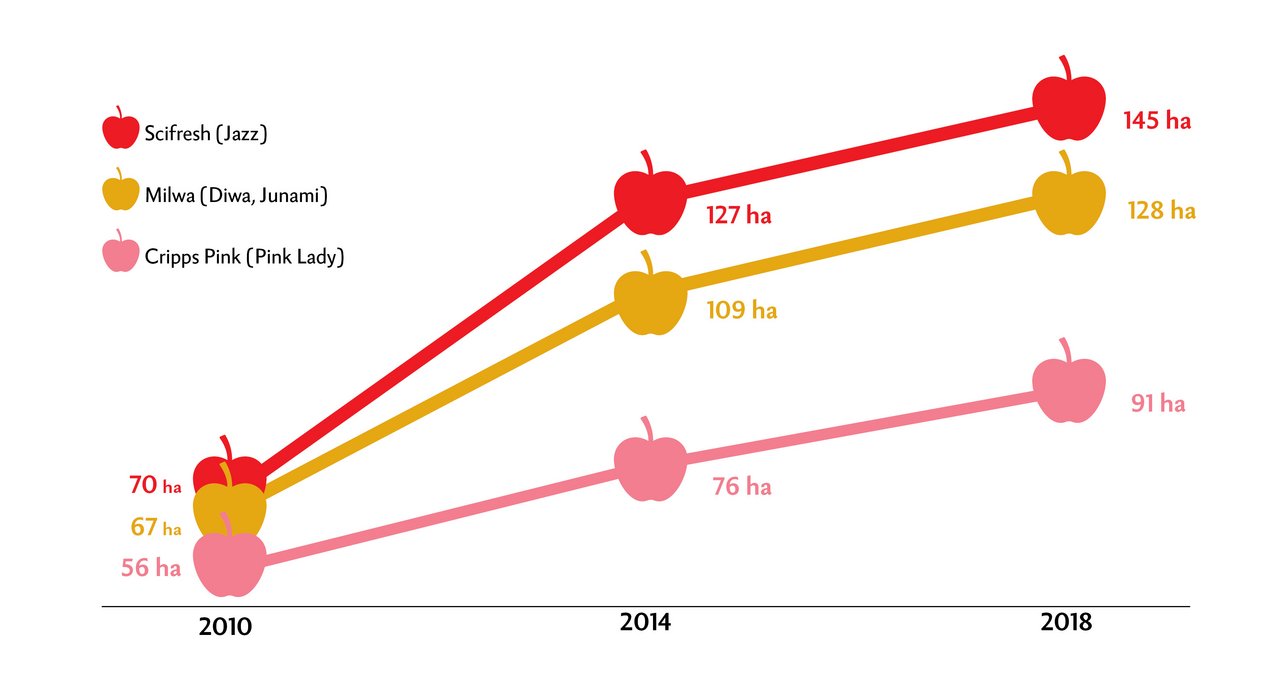 Der Anbau der drei beliebtesten Premiumsorten wurde in den den letzten Jahren massiv ausgedehnt. Quelle: BLW, Obstkulturen Flächenstatistik