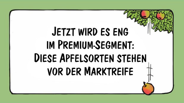 Sensationelle neue Apfel-Sorten. Cartoons von Marco Ratschiller / Karma für «die grüne» 