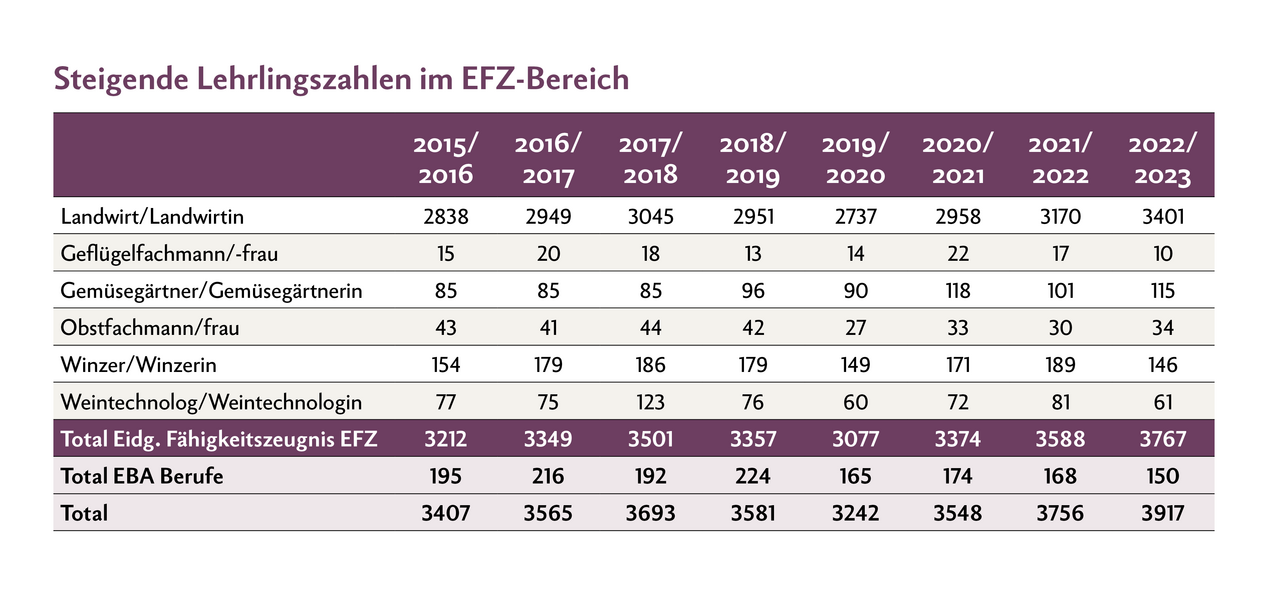 In den letzten Jahren sind die Lehrlingszahlen recht stabil geblieben. In den letzten drei Jahren steigen die Zahlen sogar leicht an. Mühe, mit einem EFZ-Abschluss eine Stelle zu finden, wird niemand haben.