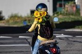 Die Hauptkunden von Schnittblumenfeldern haben oft einen eigenen Garten. Bild: Pia Neuenschwander 