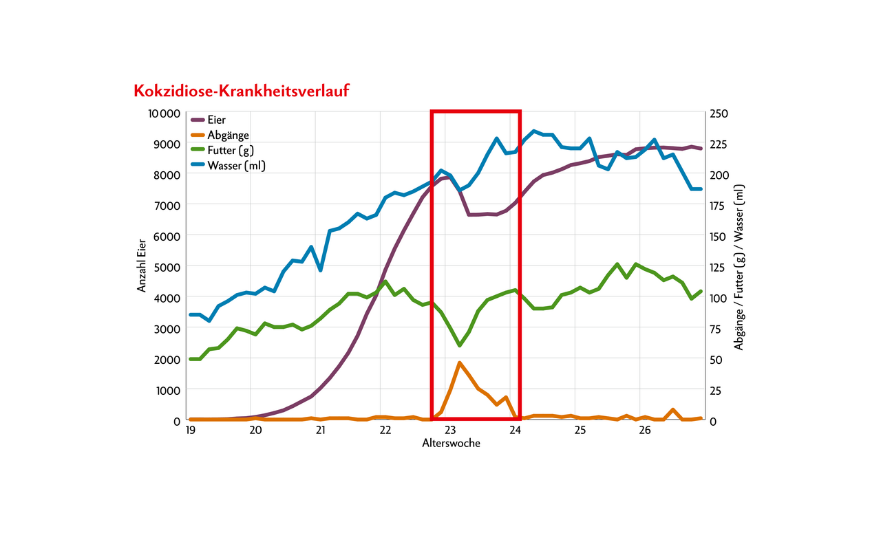 So verlief die Krankheit: In Rot umrahmt die Zeitspanne von Krankheitsbeginn bis Ende. Gut ersichtlich sind die Auswirkungen auf Legeleistung, Futterkonsum und Abgangsrate.
