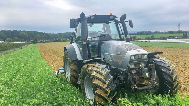 Landwirt Martin Thürkauf arbeitet die Gründüngung mit einer Schälfräse oberflächlichin den Boden ein. (Bild Martin Thürkauf)