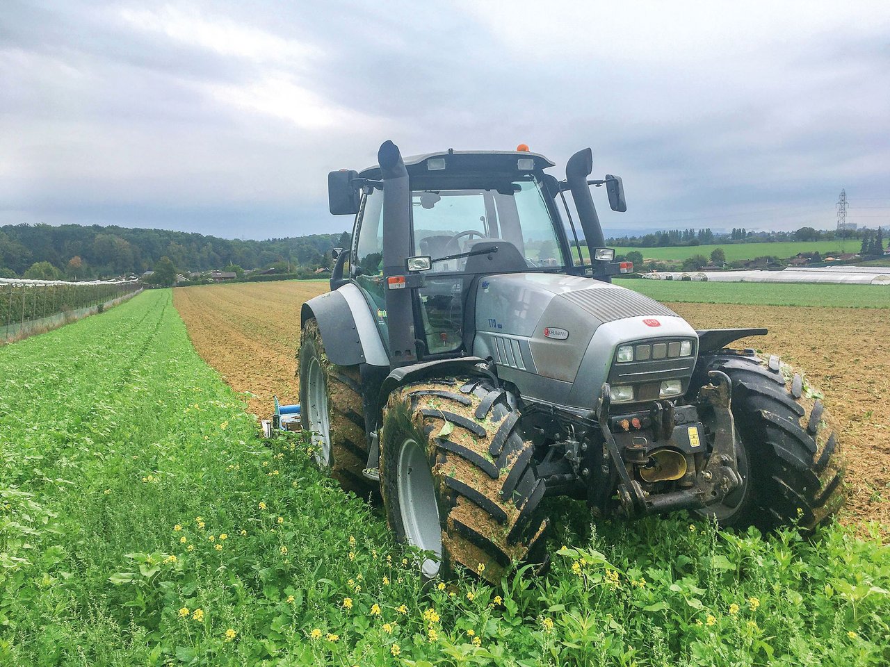 Landwirt Martin Thürkauf arbeitet die Gründüngung mit einer Schälfräse oberflächlichin den Boden ein. (Bild Martin Thürkauf)