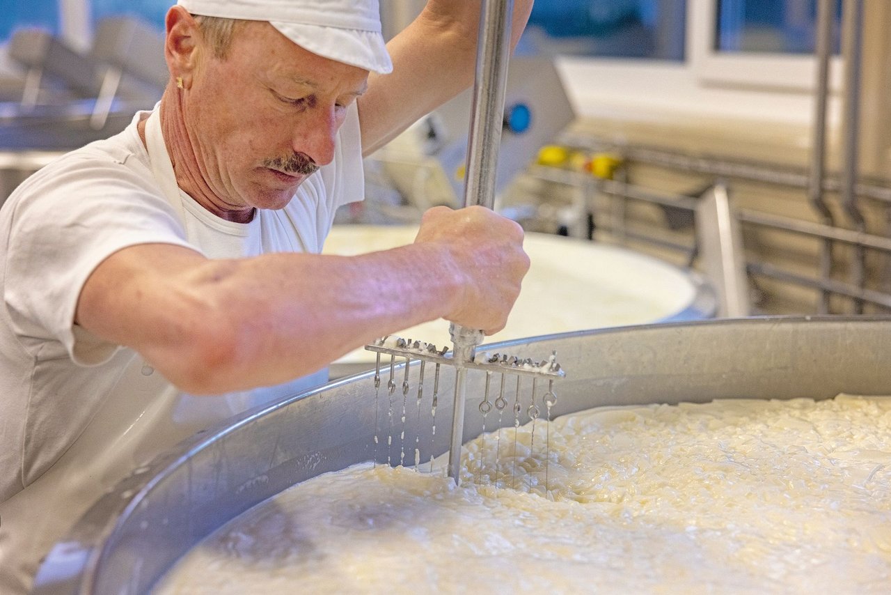 Willi Schmid arbeitet hochkonzentriert. An der Jersey-Milch schätzt er den hohen Protein- und Fettgehalt.