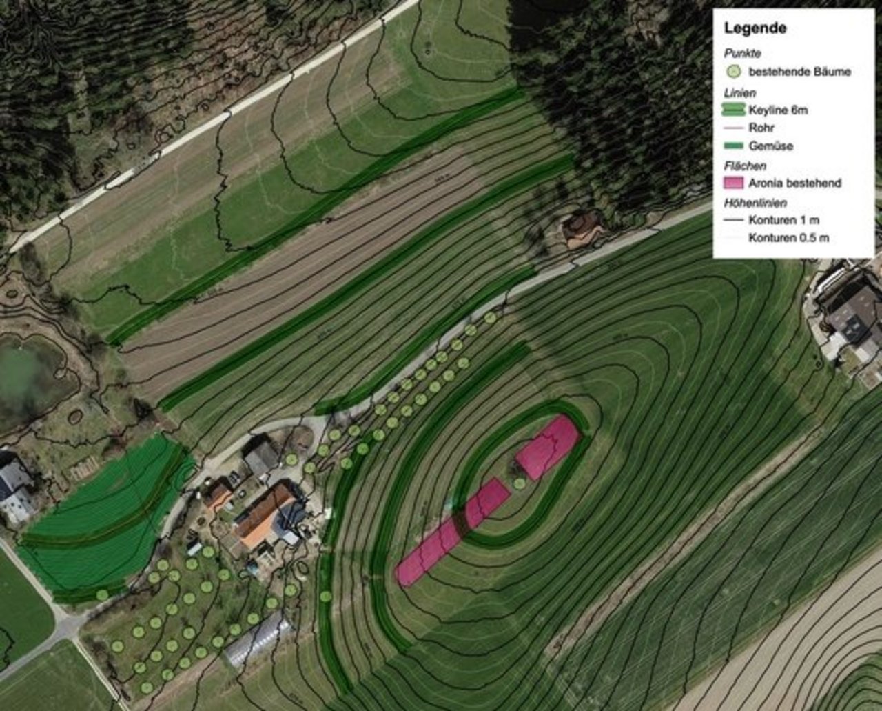 Auf der Planungskarte wurden die Keylines (dunkelgrün) eingezeichnet. Man sieht, dass sie meistens entlang von Höhenlinien verlaufen. Zur einfacheren Bewirtschaftung wurden sie teilweise etwas angepasst und verschoben (siehe oberste grüne Linie).