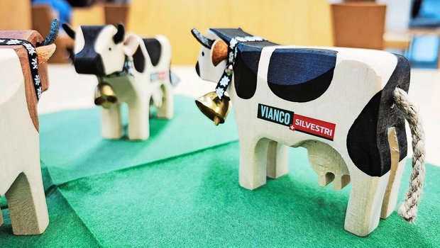 Die Vianco handelt pro Jahr rund 100 000 Tiere – vom Jager bis zur Kuh. Den grössten Teil des Umsatzes erzielt sie dabei mit Schlachtvieh für den Mutterkuhkanal. 