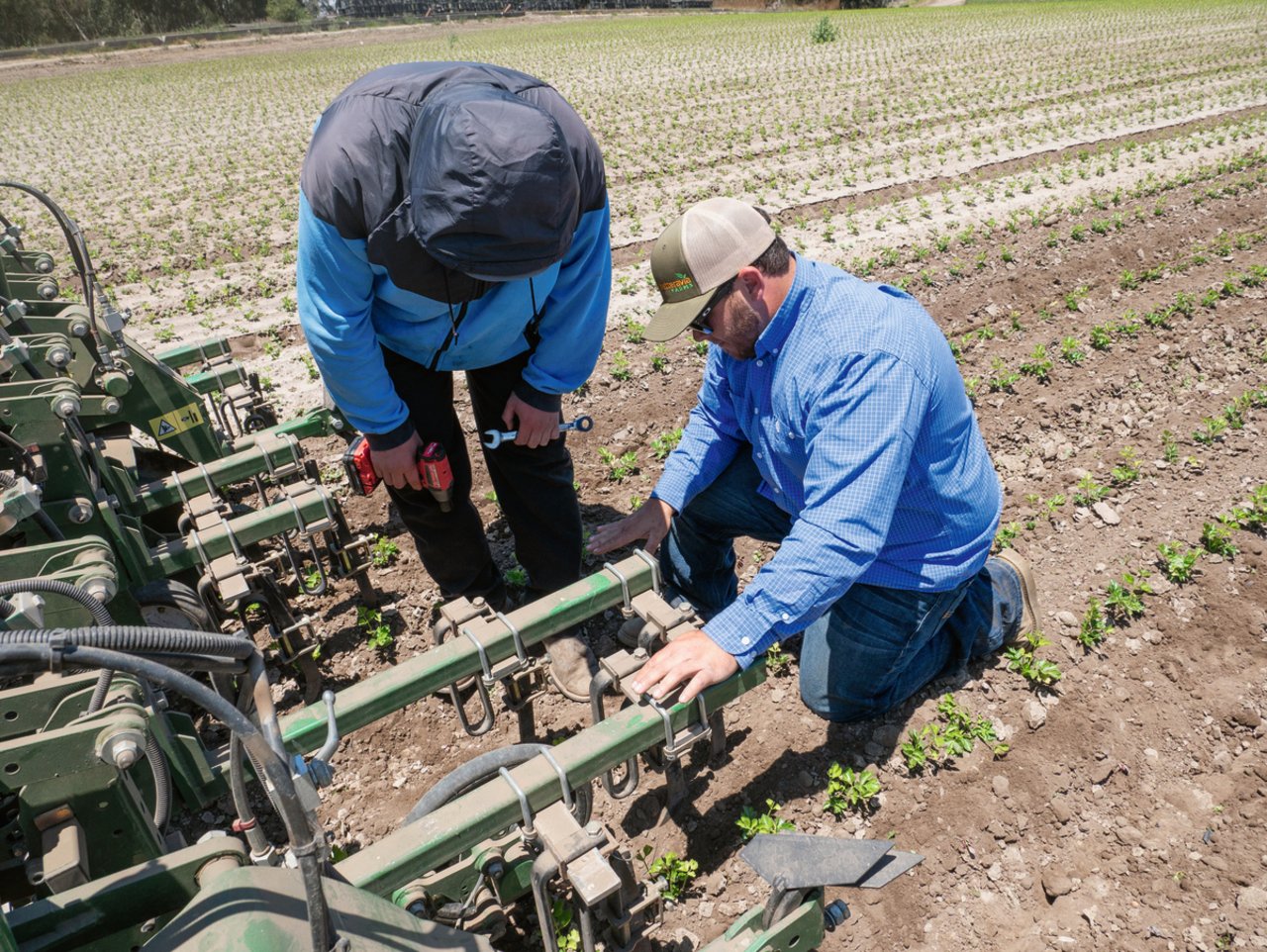 Dylan Bognuda, Produktions-Ingenieur der Betteravia Farms in Santa Maria in Kalifornien, testet verschiedene Robotertypen, wie hier die neuste Generation des Robocrop von Garford. Bild: David Eppenberger