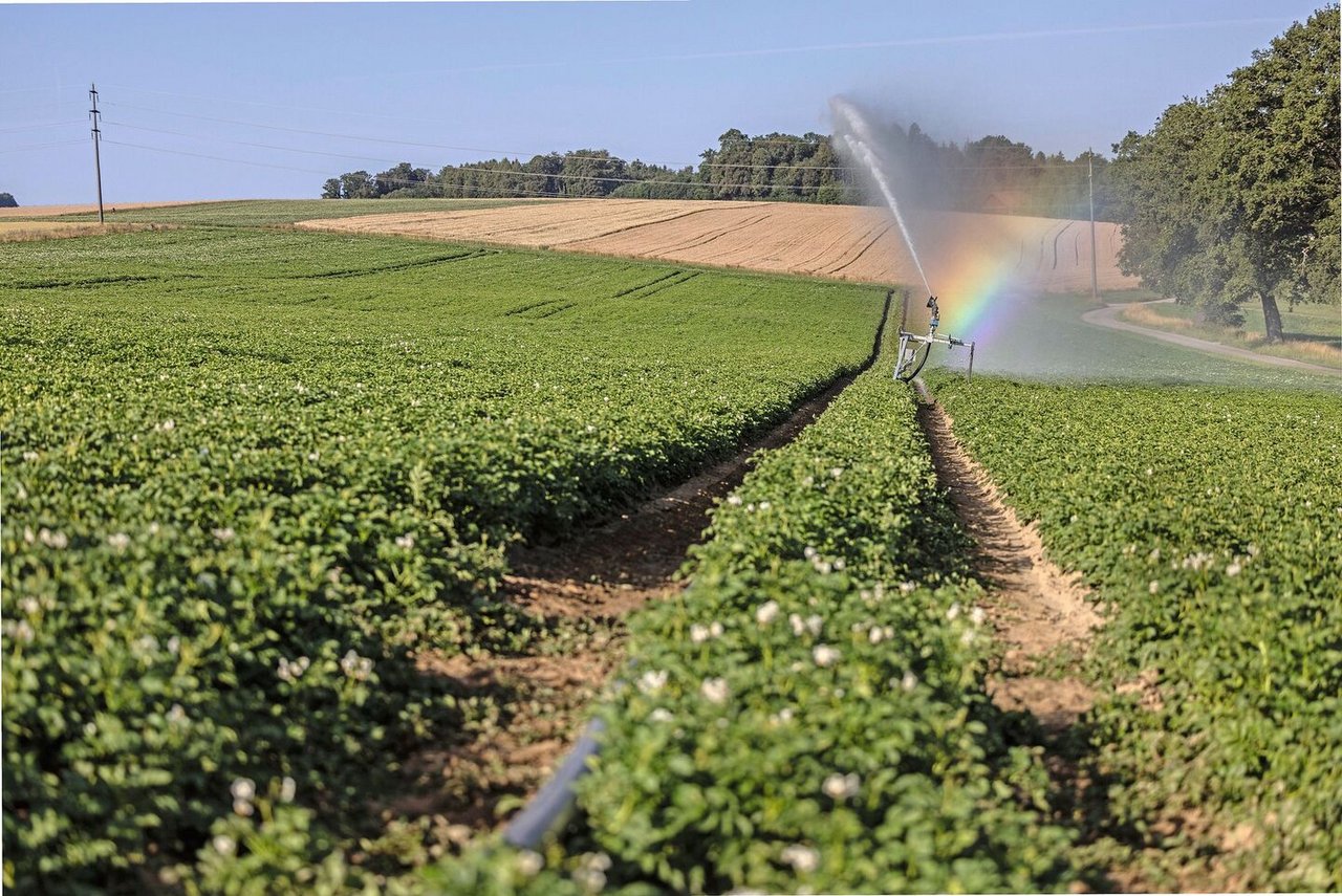 Bewässerungstechniken effizient einzusetzen, spart Wasser und Geld: Dazu gehört, die Daten aus Bodenfeuchtesensoren zu nutzen und Überlappungen vermeiden.