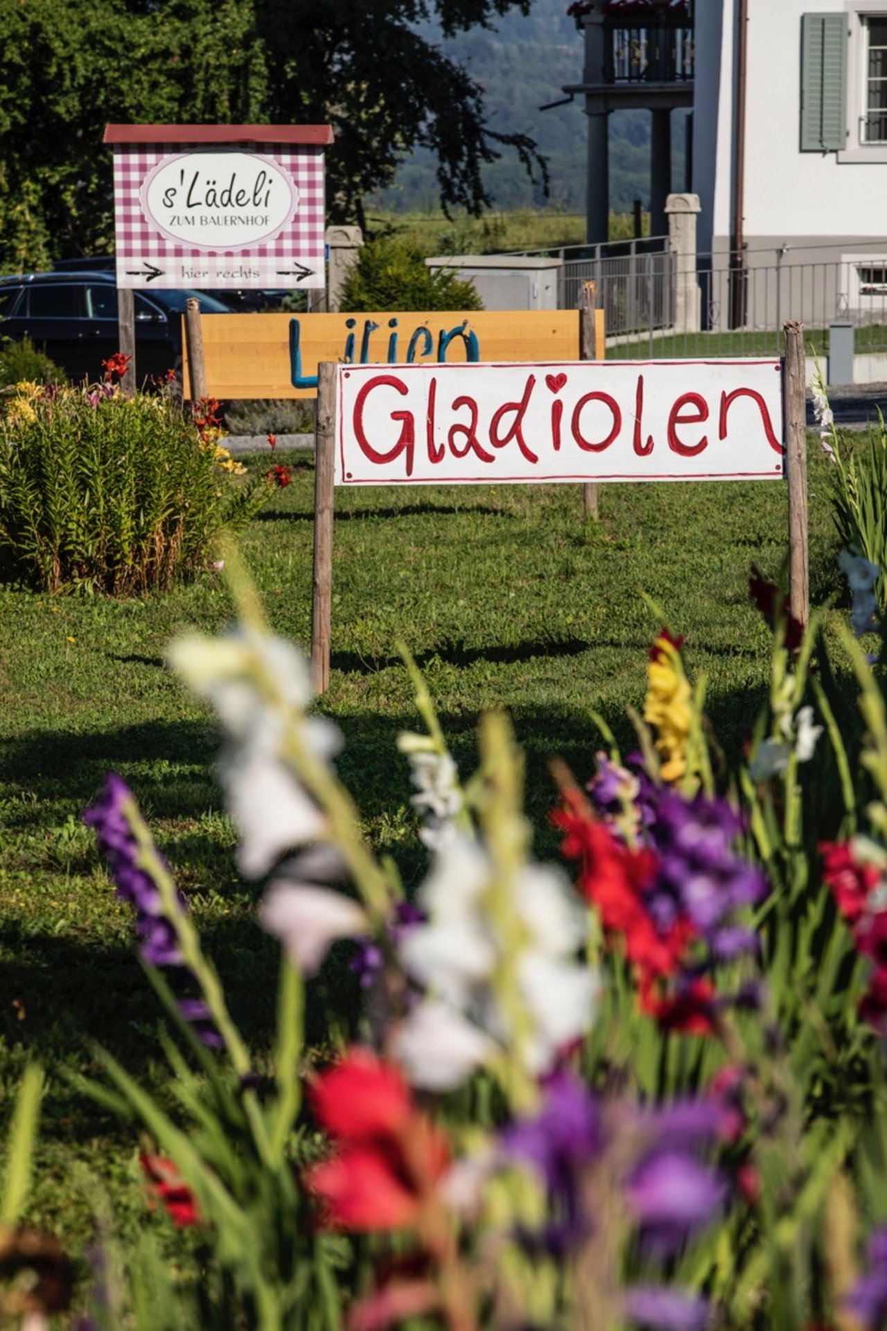 Die grossen Schilder sind bei Hagenbuchs ein Blickfang. Bild: Pia Neuenschwander