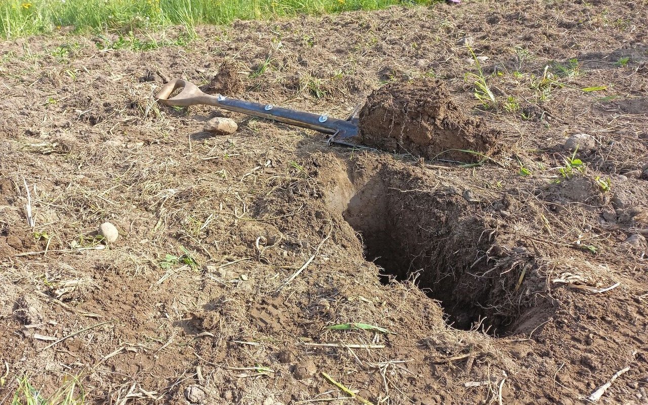 BodenDok soll Praktikern helfen, den Boden rasch beurteilen und die Ergebnisse interpretieren zu können, um allfällige Bewirtschaftungsanpassungen vorzunehmen.