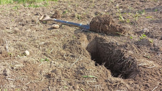 BodenDok soll Praktikern helfen, den Boden rasch beurteilen und die Ergebnisse interpretieren zu können, um allfällige Bewirtschaftungsanpassungen vorzunehmen.